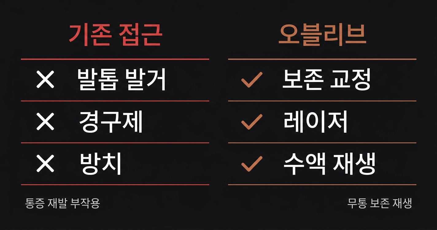 기존 접근 vs 오블리브